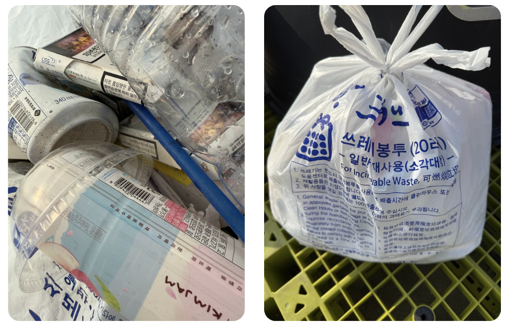 Spiritus: Eco Guardian of Hyeopjae Beach 3